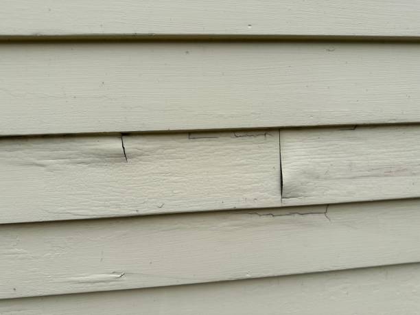 Trusted Edgeworth, PA Junk Removal Experts